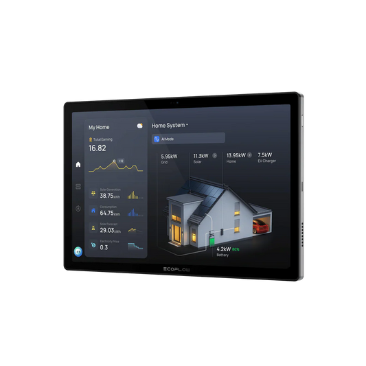 Ecoflow Powerinsight 2 Monitor