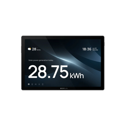Ecoflow Powerinsight 2 Monitor
