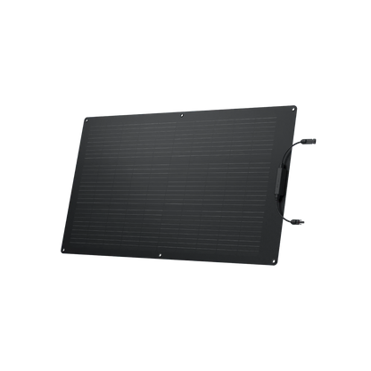 EcoFlow 100w Flexible Solar Panel